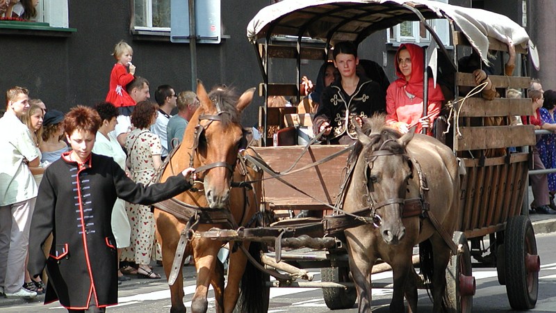 Gwarki - pochód historyczny